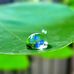 Vicky Dhillon  - Facebook