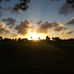 Vickie Dickey Soltis - Facebook