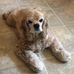 Vickie Diehl - Facebook