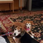 Vicki Barb Dietrich - @vickibarbdietrich - Instagram