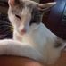 Vicki Downey - Facebook