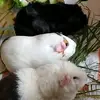 Vicky Engel - @vicky.engel2 - TikTok