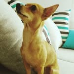 Vicky Engel Lieb - @vicky.lieb - Instagram