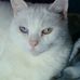 Vicky Engelhardt - Facebook