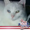 Vicky Engelhardt - @vickyengelhardt - TikTok