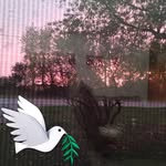 Vicky Engels - @engelsvicky - Instagram