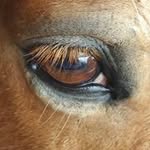 Vicky Engels - @veng_do - Instagram