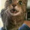 Vicky England198 - @vicky.england - TikTok