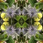 Vicky England - @vickyenglandart - Instagram