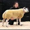 Vicky Ferguson - @victoria_ferguson - TikTok