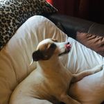 Vicki Firth - @vicki.firth.71 - Instagram