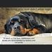 Vicky Flint - Facebook