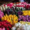 Vicky Flowers - @vickyflowers4 - TikTok