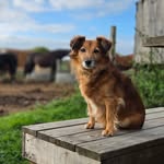 Vicky - @vicky__fox_ - Instagram
