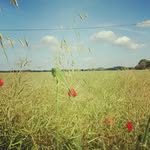 Vicky Fry - @briefieldqueen - Instagram