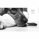 Vicky Gallegos Aguirre - @gallegosaguirre - Instagram