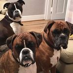 Vicky Gates - Facebook