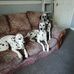 Vicky Gibbs - Facebook