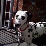 Vicky Gibbs - @vicky.gibbs.71 - Instagram