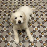 Vicky - @_vicky_golden_ - Instagram