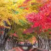 vickygoodman1973 - @ttt_tk33 - TikTok