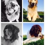Vicky Graff - @graffvicky - Instagram