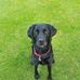 Vicky Green - Facebook