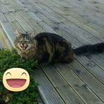 Vicky Green - @vicky.green1 - Instagram