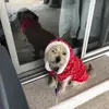 Vicki Greer - @vicki.greer3 - TikTok