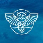 Vicki Greer - @nightowlvirtualconsultants - Instagram