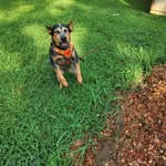 Vickie Grindle Watson - @watsonvickie1965 - Instagram