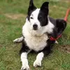Vicky Grindley - @vicky.grindley - TikTok