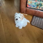 Vicky Groves - @grovesvicky - Instagram