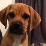 Vicky Groves - @vic.groves - Instagram