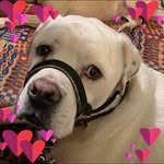 Vicky Head - @vickyheaduk - Instagram