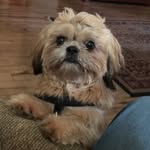 Vicki Hester - @hester.vicki - Instagram