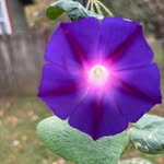 Vicki Hester Reagan - @vhester1956 - Instagram