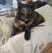 Vickie Hester Stewart - Facebook