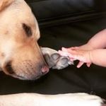 Vicky_21288 - @vickyheydrich - Instagram