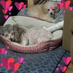 Vicky Hickman - Facebook