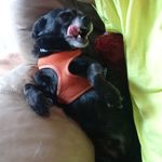 Vickie Hinson - @hinson.vickie - Instagram