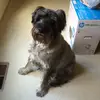 vickyhogan3 - @vickyhogan3 - TikTok