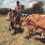 Vicki Holden - @british_cowgirl - Instagram
