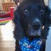 Vicky Holden - Facebook