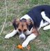 Vicky Holley - Facebook
