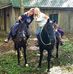 Vicky Holman - Facebook