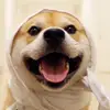 Vicky Hood - @user8782002272063 - TikTok