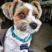 Vicky Horn - Facebook