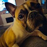 Vicky Horton - @missymoo_2012 - Instagram