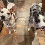 Vicki Hough Peoples - @vickihoughpeoples - Instagram